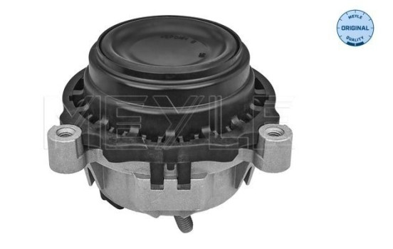 Cojinete de soporte del cuerpo del eje/motor 300 221 2120 Meyle