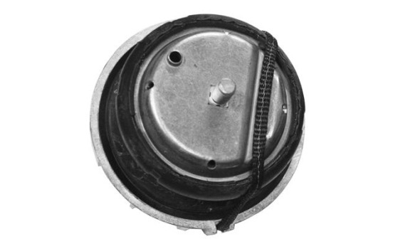 Cojinete de soporte del cuerpo del eje/motor