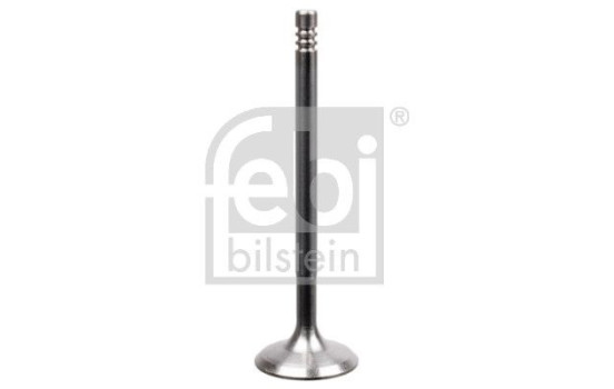 válvula de entrada, Imagen 2