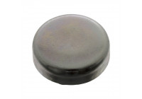 tapón de escarcha