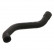 Serpiente