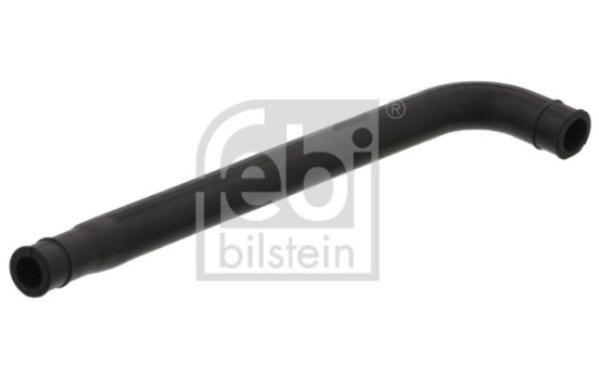 Serpiente, Imagen 2