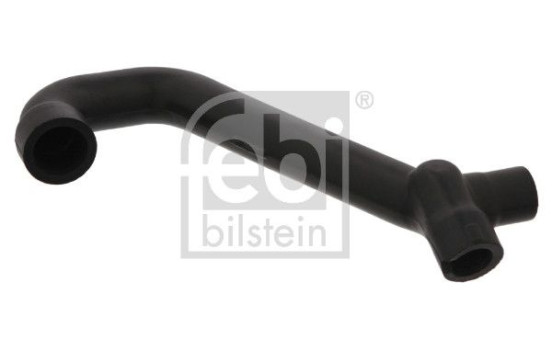 Serpiente, Imagen 2