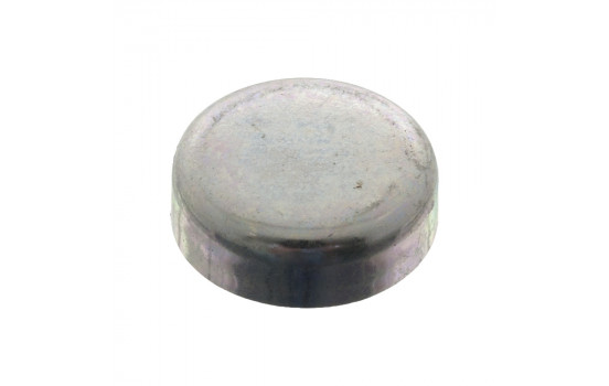 tapón de escarcha