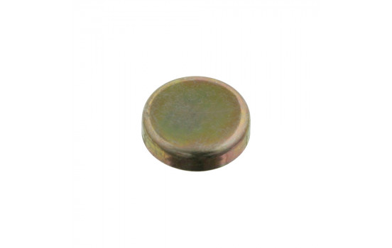 tapón de escarcha