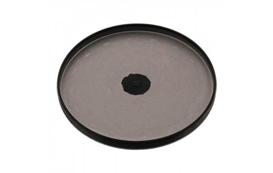 tapón de escarcha