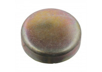 tapón de escarcha