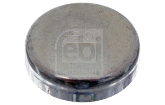 tapón de escarcha, Imagen 2