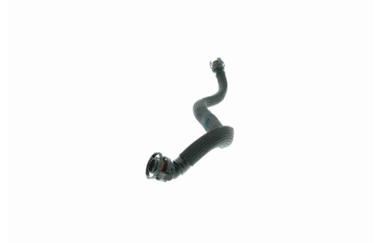 manguera de ventilación del cárter, Imagen 4