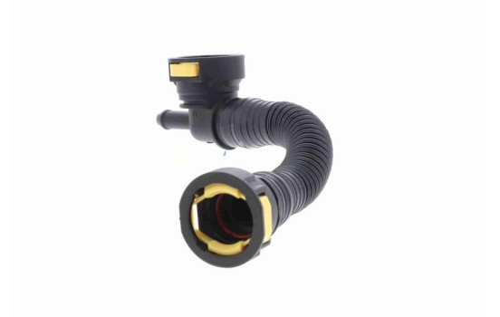 manguera de ventilación del cárter, Imagen 5