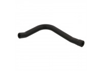 Serpiente