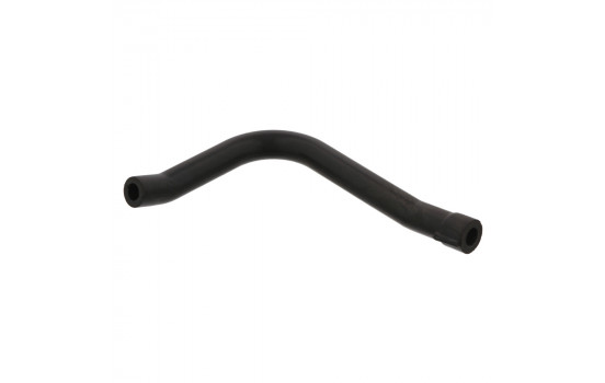 Serpiente