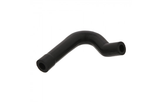 Serpiente
