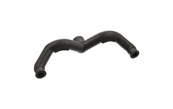 Serpiente