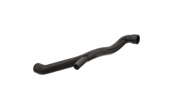 Serpiente