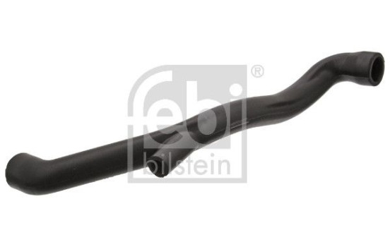 Serpiente, Imagen 2