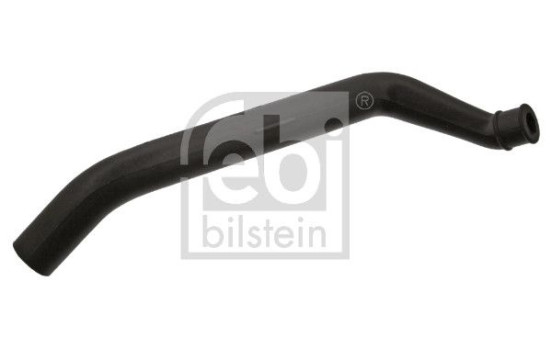 Serpiente, Imagen 2