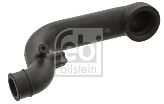 Serpiente, Imagen 2