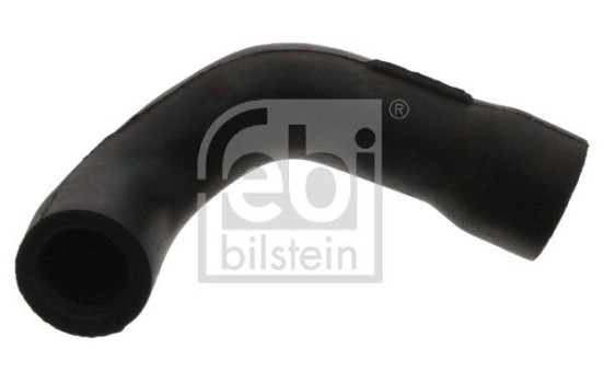 Serpiente, Imagen 2