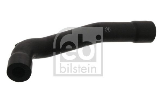 Serpiente, Imagen 2