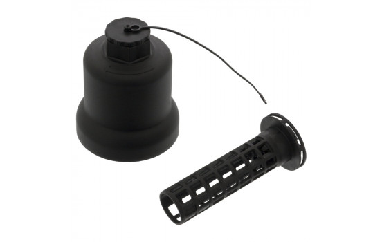 tapón de escarcha