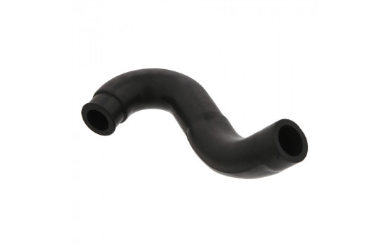 Serpiente