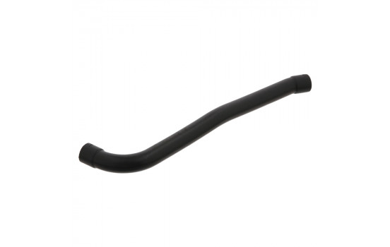 Serpiente