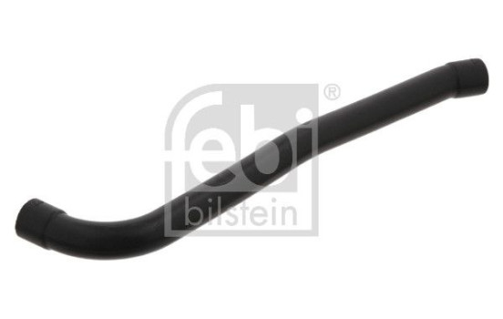 Serpiente, Imagen 2