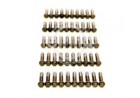 Tornillo de biela