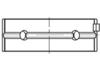 Cojinete principal