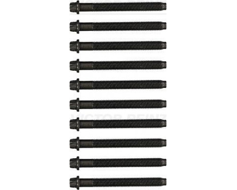 Juego de tornillos de culata (10 UDS.)