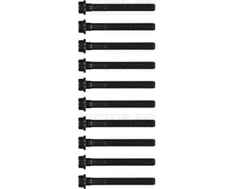Juego de tornillos de culata (10 UDS.)
