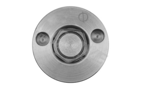 Válvula de control, control del árbol de levas, Imagen 2
