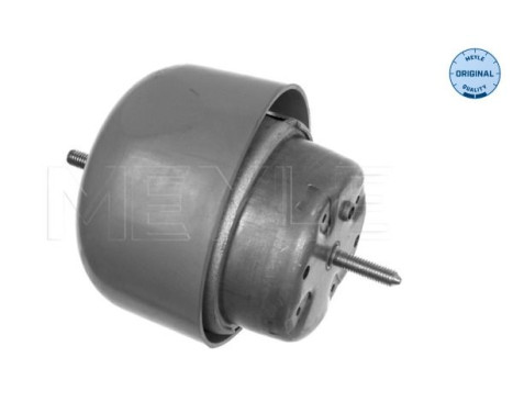 Cojinete de soporte del cuerpo del eje/motor 100 199 0048 Meyle