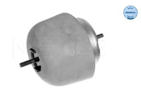 Cojinete de soporte del cuerpo del eje/motor 100 199 0056 Meyle