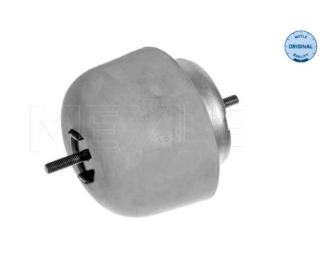 Cojinete de soporte del cuerpo del eje/motor 100 199 0056 Meyle