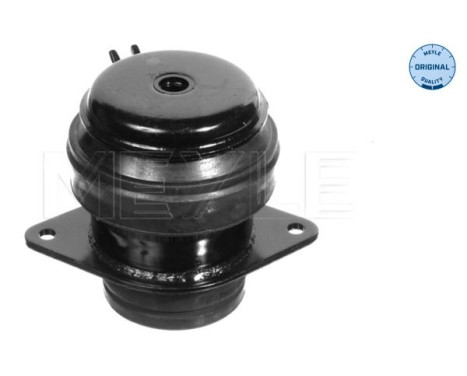 Cojinete de soporte del cuerpo del eje/motor 100 199 0073 Meyle