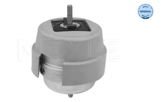 Cojinete de soporte del cuerpo del eje/motor 100 199 0192 Meyle
