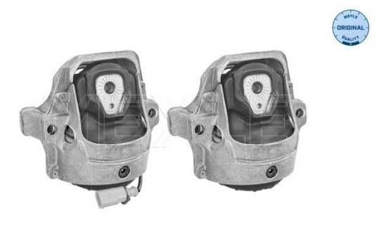 Cojinete de soporte del cuerpo del eje/motor 100 199 1403/S Meyle