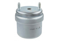 Cojinete de soporte del cuerpo del eje/motor 17680 02 Lemforder