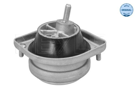 Cojinete de soporte del cuerpo del eje/motor 300 221 1103 Meyle