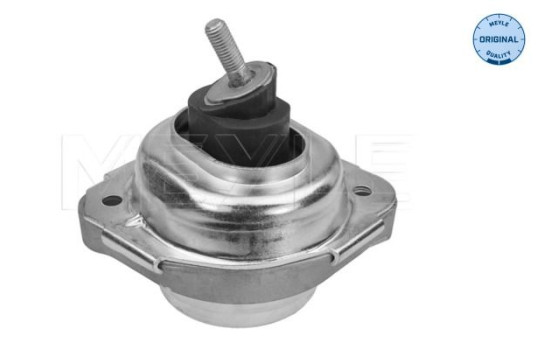 Cojinete de soporte del cuerpo del eje/motor 300 221 1131 Meyle