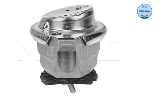 Cojinete de soporte del cuerpo del eje/motor 300 221 1153 Meyle