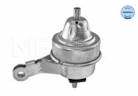 Cojinete de soporte del cuerpo del eje/motor 300 221 2001 Meyle