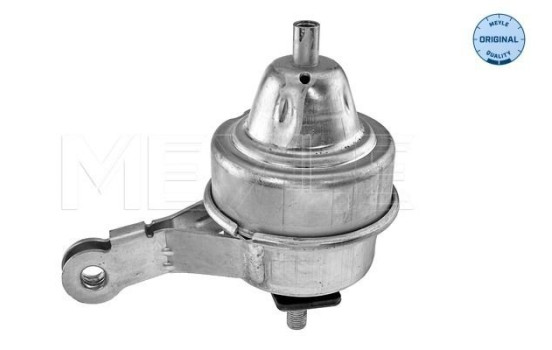 Cojinete de soporte del cuerpo del eje/motor 300 221 2001 Meyle