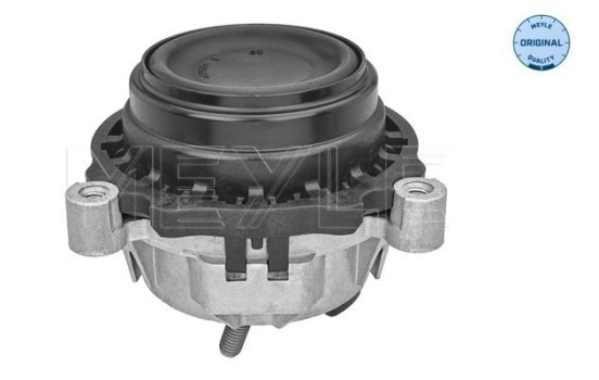 Cojinete de soporte del cuerpo del eje/motor 300 221 2121 Meyle