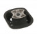 Soporte del motor 08509 FEBI