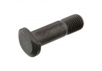 Tornillo de ajuste
