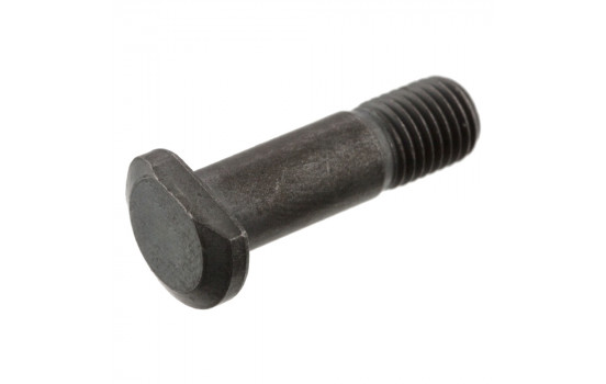 Tornillo de ajuste