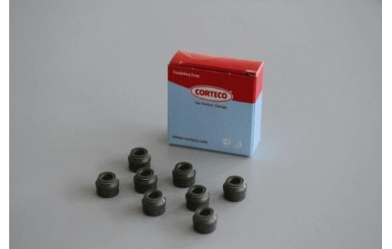 CONJUNTO DE ETANCHÉITE DE SOPAPE